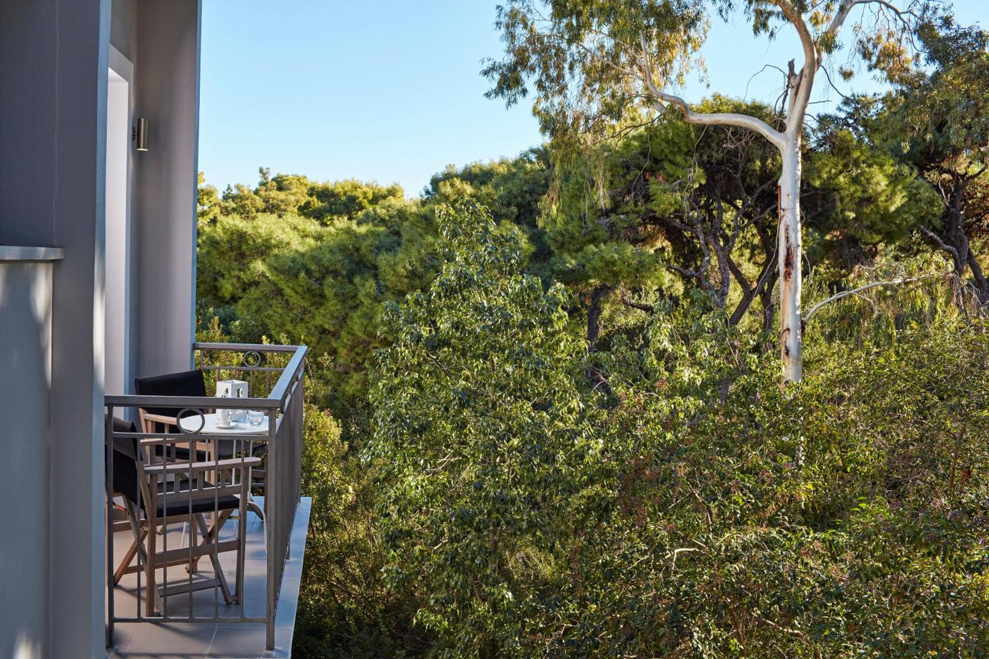 קסילוקסטרו The Gardens Gallery Hotel חדר תמונה